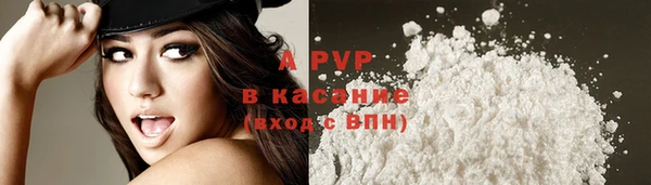 ECSTASY Ачинск