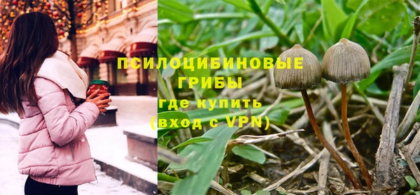 бутират Михайловка