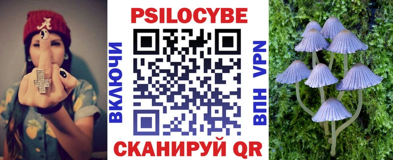 магазин    Ангарск  Псилоцибиновые грибы Psilocybine cubensis 