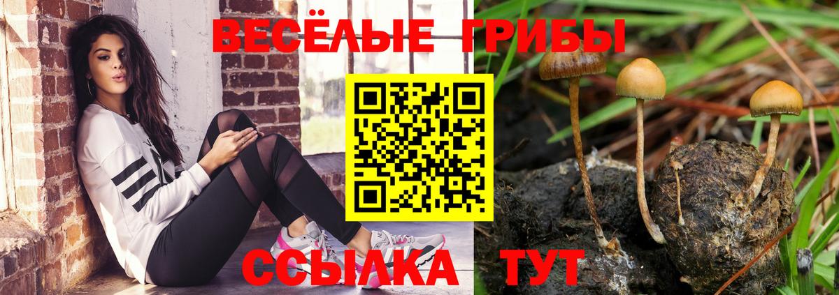 Ангарск  Псилоцибиновые грибы GOLDEN TEACHER  Вход с VPN 